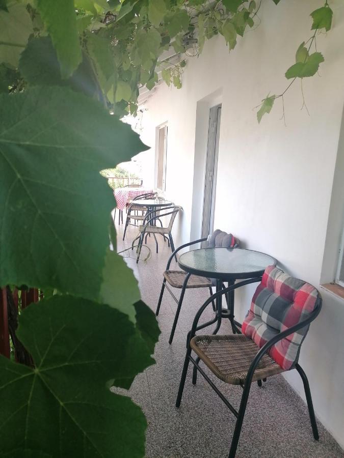 Vila Didi, Mangalia Exterior photo