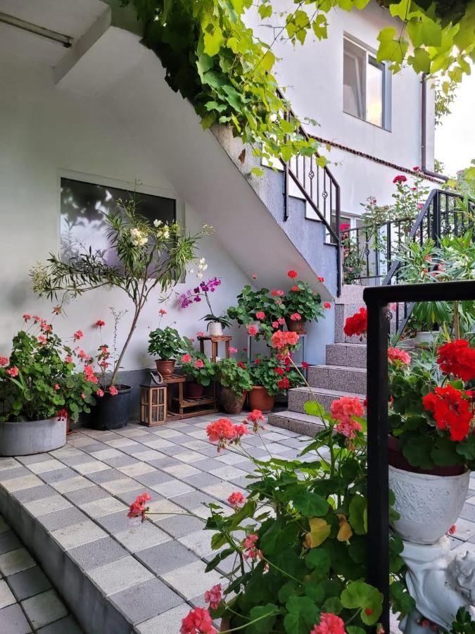 Vila Didi, Mangalia Exterior photo